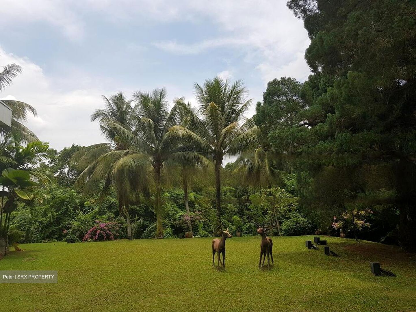 Bin Tong Park (D10), Detached #468538211